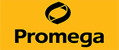 Promega Corporation jobs